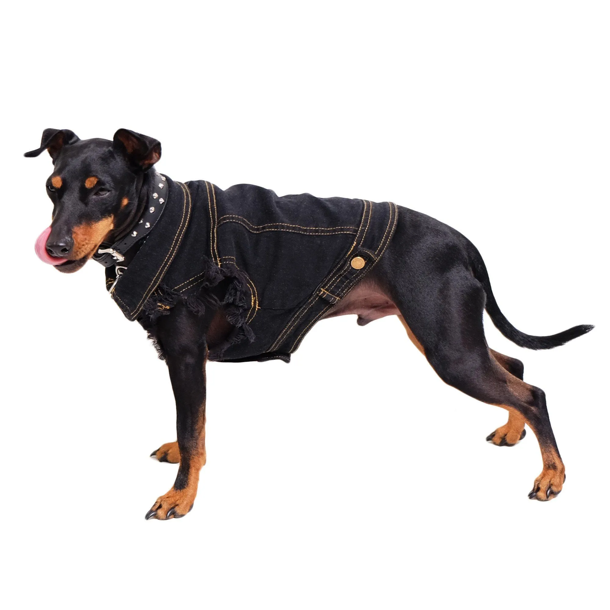 Denim Dog Vest Black - Unpatched