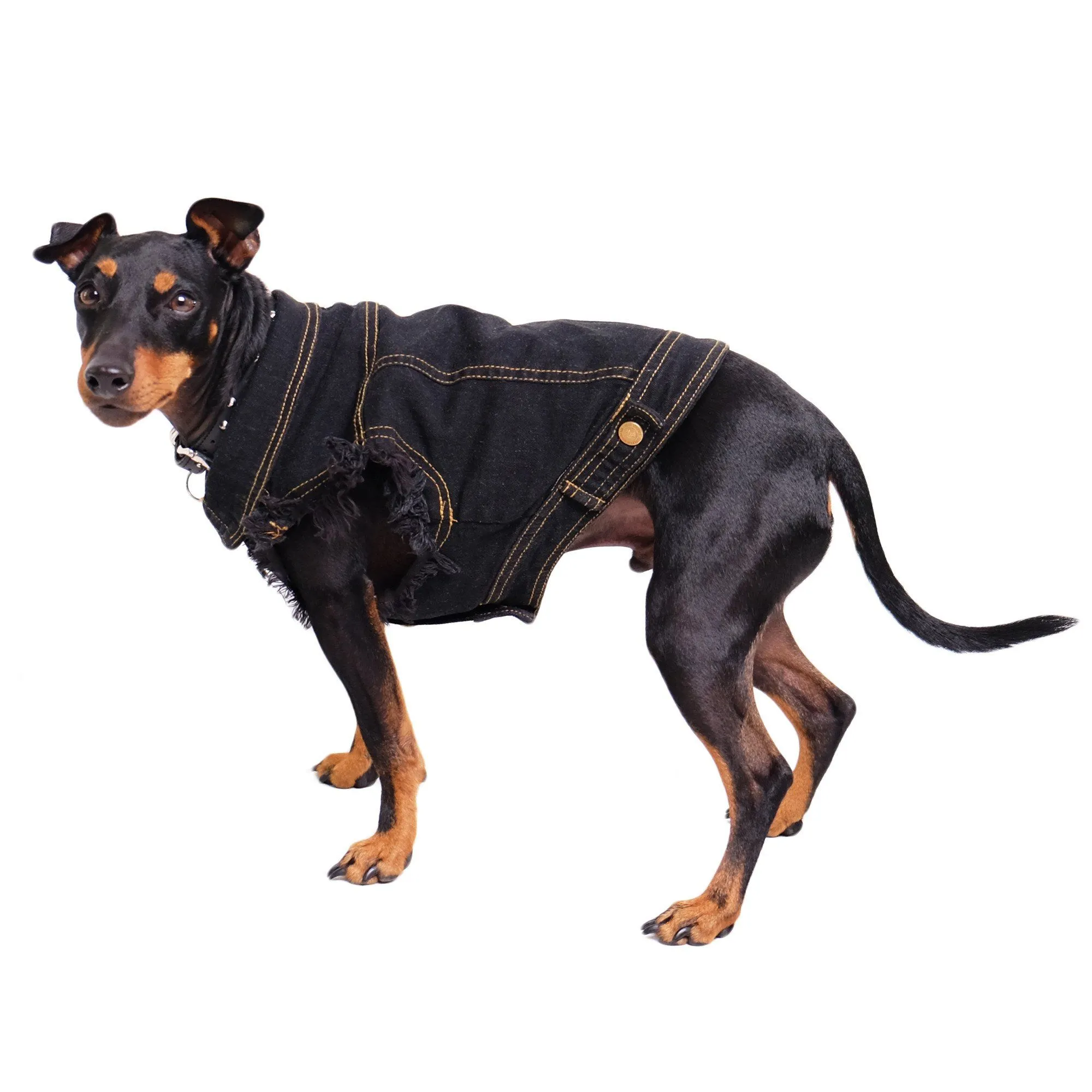 Denim Dog Vest Black - Unpatched