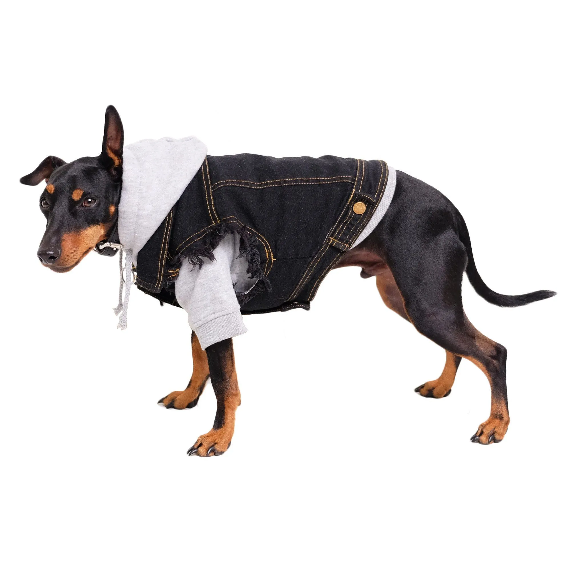 Denim Dog Vest Black - Unpatched