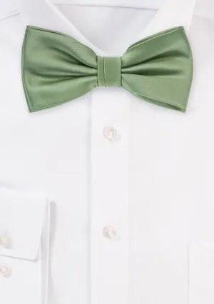 Sage Solid Bowtie